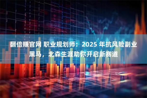 翻倍赚官网 职业规划师：2025 年抗风险副业黑马，北森生涯助你开启新赛道